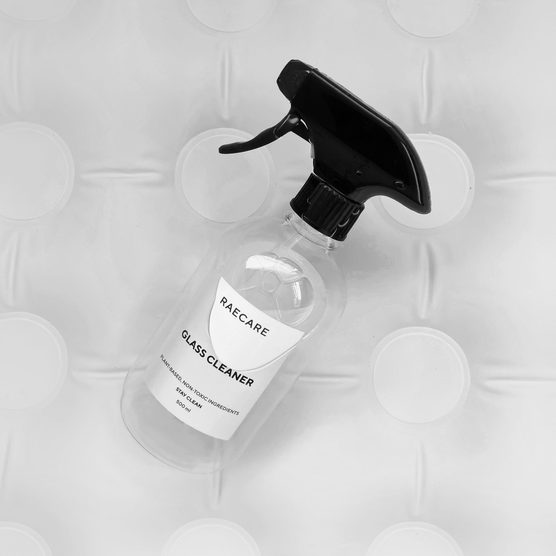 Home Cleaning Box - Raecare