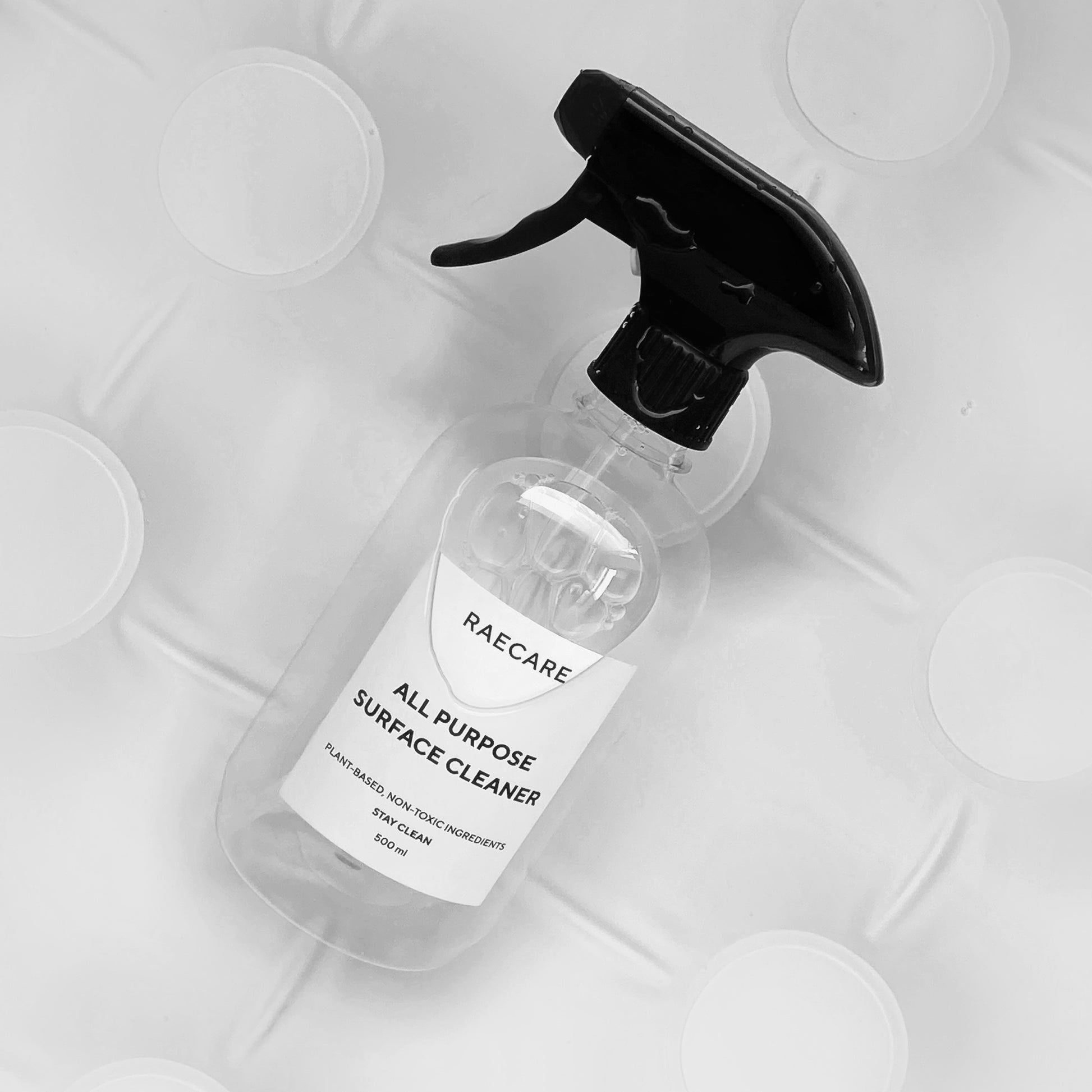 Home Cleaning Box - Raecare