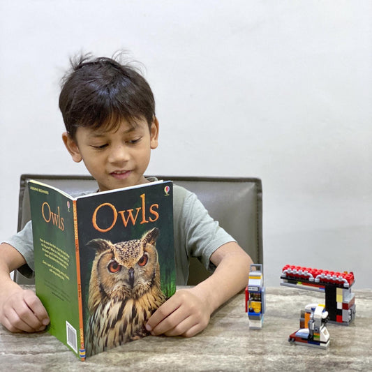 Unlock Your Child’s True Potential: 7 Types of Learning Styles