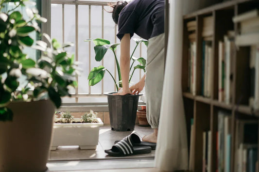 Mindful Cleaning: Turning Chores into Self Care